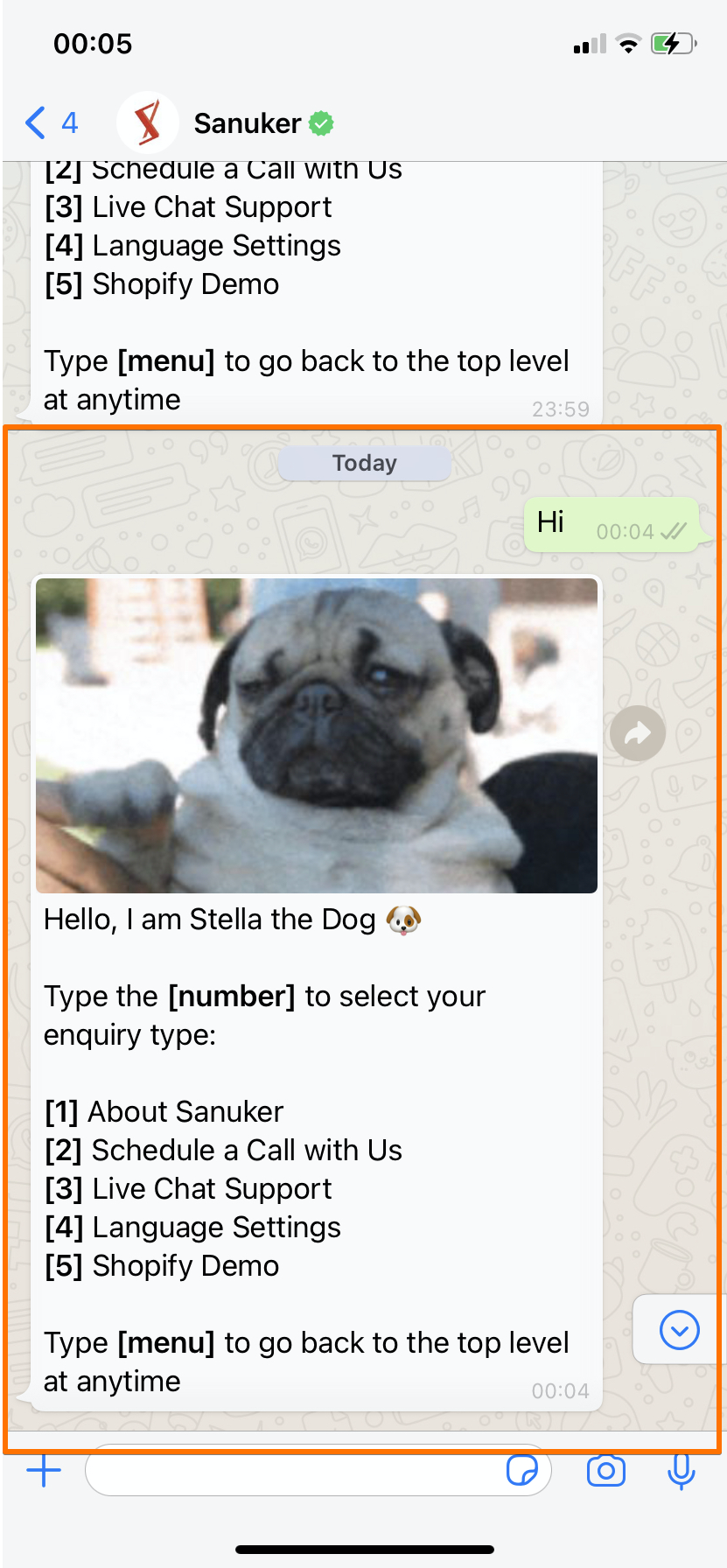 User greets chatbot again